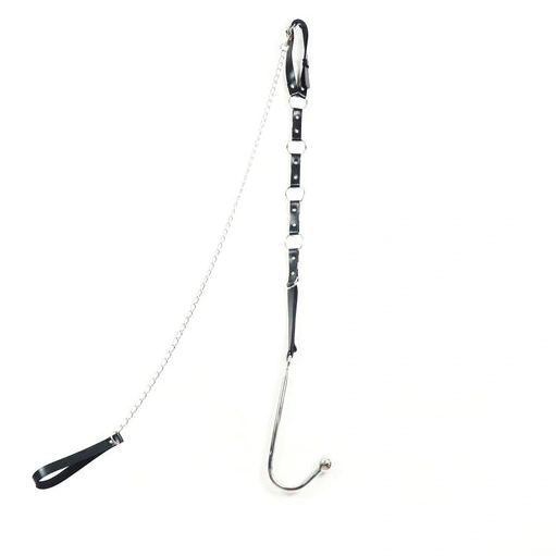 EverydayUse Hook 5853 Collar Leash Anal and Kinky with 0313